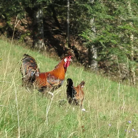 Bei Selbstversorger Auf Kleinbauernhof Apartmán Eriz